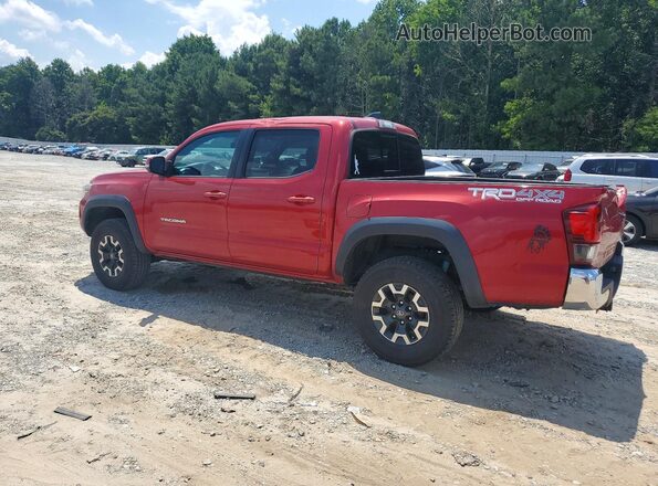 3TMCZ5AN8KM239757 2019 TOYOTA TACOMA Red Հետևի ձախ