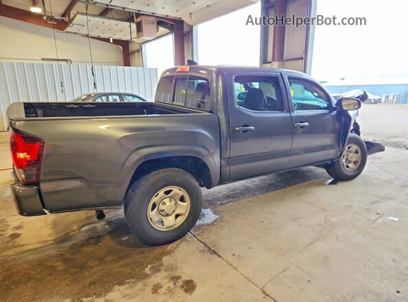 3TMCZ5AN8PM569289 2023 TOYOTA TACOMA Gray Trasero derecho