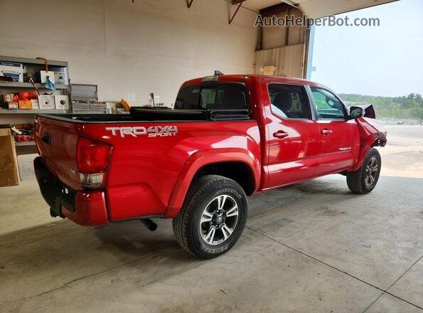 3TMCZ5AN9HM088209 2017 TOYOTA TACOMA Red Tył prawy