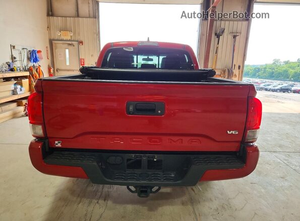 3TMCZ5AN9HM088209 2017 TOYOTA TACOMA Red Widok z tyłu