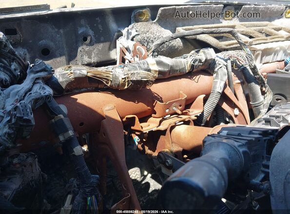 3TMCZ5AN9KM217251 2019 TOYOTA TACOMA Серый Вид задних сидений