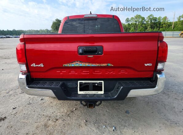 3TMCZ5AN9MM429182 2021 TOYOTA TACOMA Красный Вид сзади