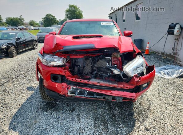 3TMCZ5ANXHM065943 2017 TOYOTA TACOMA Красный Вид спереди