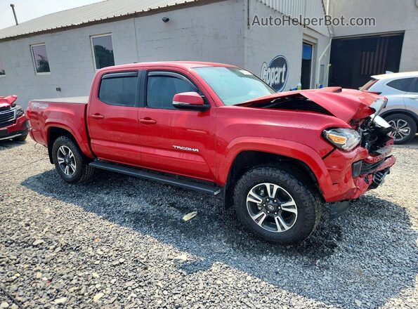3TMCZ5ANXHM065943 2017 TOYOTA TACOMA Красный Передняя правая четверть