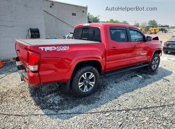 3TMCZ5ANXHM065943 2017 TOYOTA TACOMA Красный Задняя правая четверть