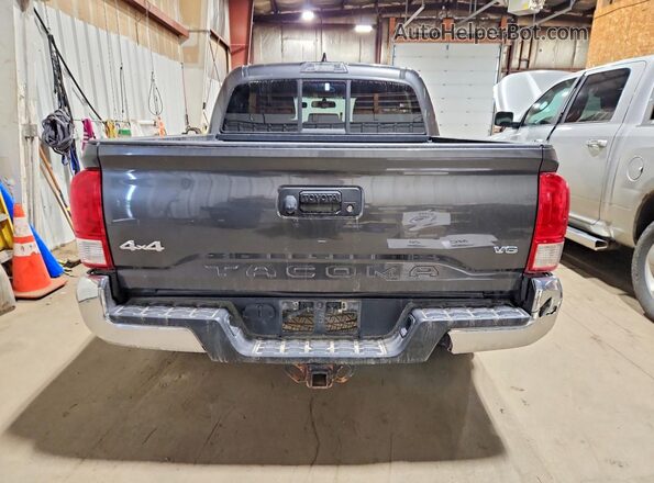 3TMCZ5ANXHM085965 2017 TOYOTA TACOMA Gray უკანა ხედი