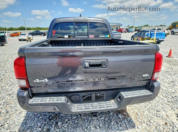 3TMCZ5ANXKM194353 2019 TOYOTA TACOMA Gray Rear view
