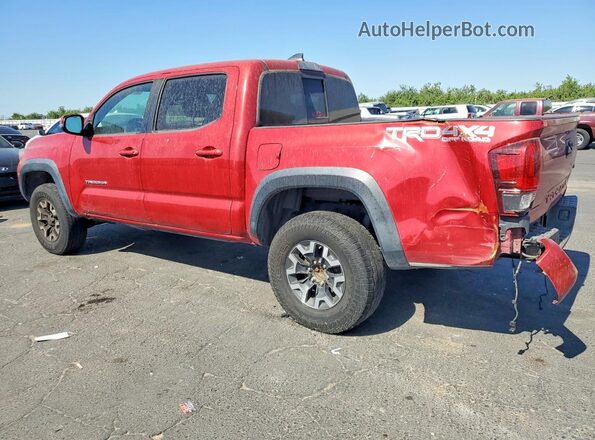 3TMCZ5ANXKM227643 2019 TOYOTA TACOMA Красный Задняя левая четверть