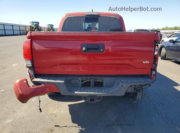 3TMCZ5ANXKM227643 2019 TOYOTA TACOMA Красный Вид сзади