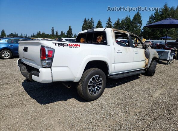 3TMCZ5ANXPM549089 2023 TOYOTA TACOMA White უკანა მარჯვენა