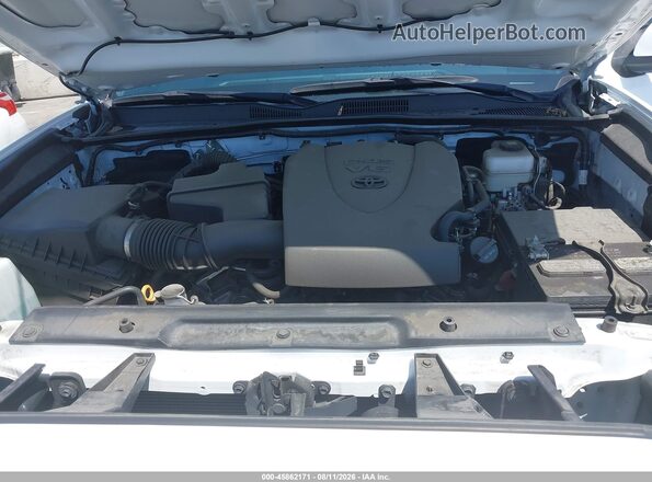 3TMDZ5BN5PM142705 2023 TOYOTA TACOMA White Widok z tyłu
