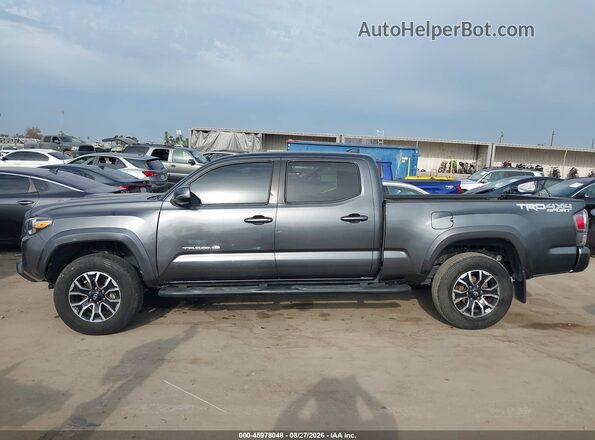 3TMDZ5BN5PM144065 2023 TOYOTA TACOMA Gray 360 interior view