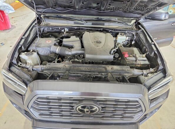 3TMDZ5BN8MM103649 2021 TOYOTA TACOMA Charcoal 