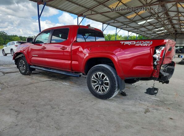 3TMDZ5BN9MM101022 2021 TOYOTA TACOMA Red Հետևի ձախ