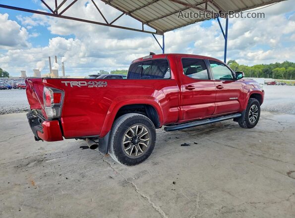 3TMDZ5BN9MM101022 2021 TOYOTA TACOMA Red Հետևի աջ