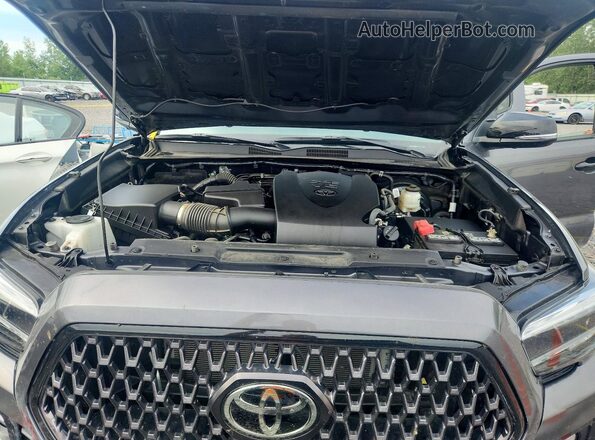 3TMGZ5AN0PM568929 2023 TOYOTA TACOMA Gray Սալոնի հետևի տեսք