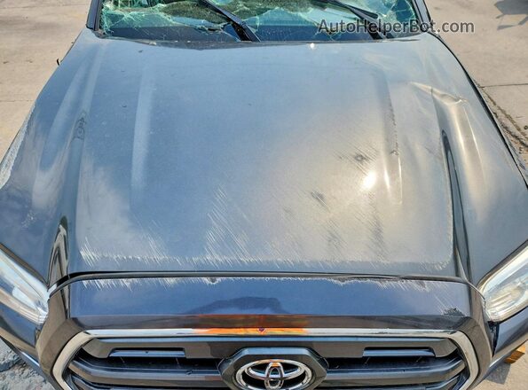 3TMGZ5AN2GM010631 2016 TOYOTA TACOMA Gray უკანა სალონის ხედი