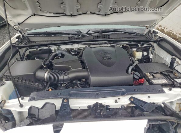 3TMGZ5AN4HM055751 2017 TOYOTA TACOMA White Вид задньої частини салону