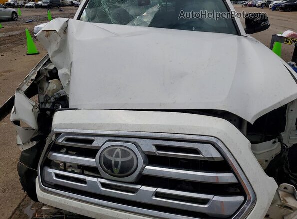 3TMGZ5AN8KM284022 2019 TOYOTA TACOMA White Սալոնի հետևի տեսք