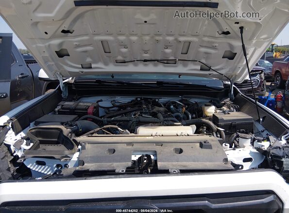 3TMLB5JN1SM176442 2025 TOYOTA TACOMA White Widok z tyłu
