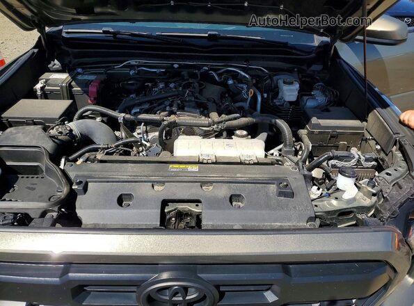 3TMLB5JN4RM001502 2024 TOYOTA TACOMA Tan Вид задньої частини салону