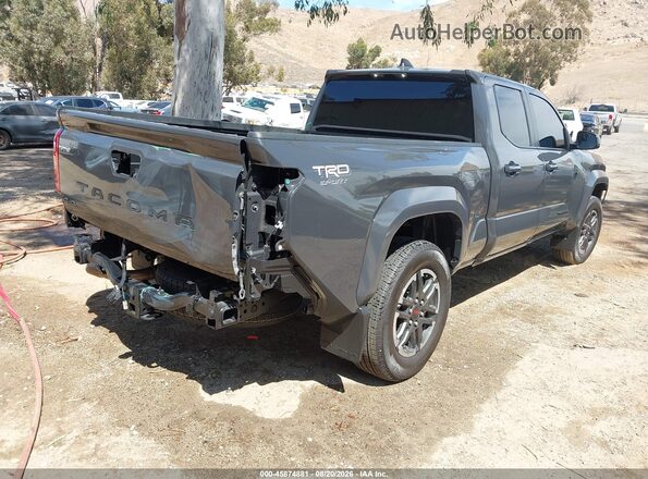 3TMLB5JN6SM147809 2025 TOYOTA TACOMA Gray Задня права чверть
