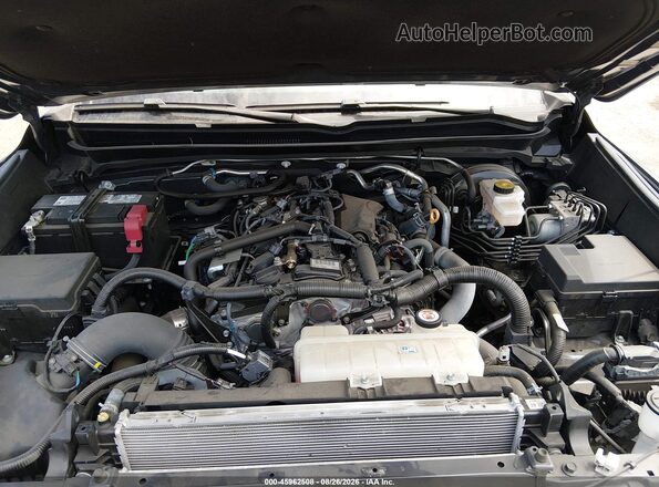3TMLB5JN7RM032291 2024 TOYOTA TACOMA Gray Rear view