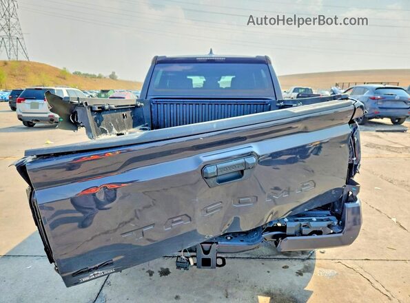 3TMLB5JN8RM041310 2024 TOYOTA TACOMA Gray Հետևի տեսք