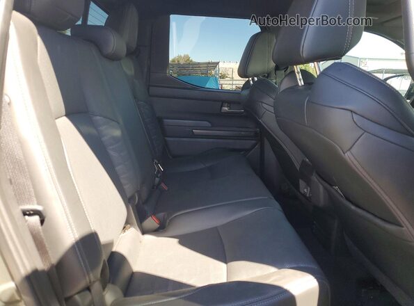 3TMLB5JN8SM127223 2025 TOYOTA TACOMA Зеленый Вид задних сидений