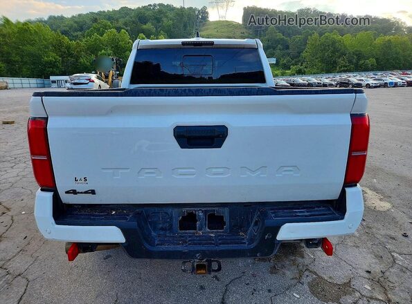 3TMLB5JN9RM045270 2024 TOYOTA TACOMA White Rear view