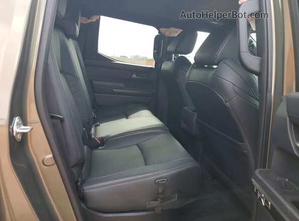 3TMLB5JN9SM089694 2025 TOYOTA TACOMA Tan Հետևի նստատեղերի տեսք