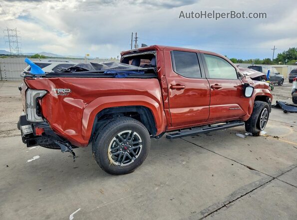 3TMLB5JNXSM114294 2025 TOYOTA TACOMA Orange Tył prawy
