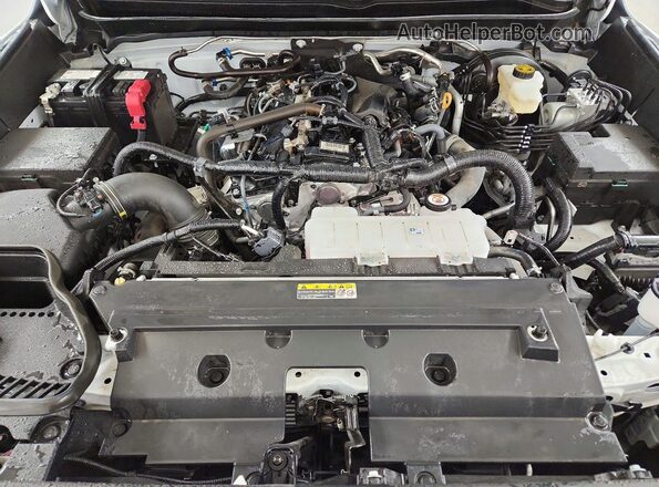 3TMLB5JNXTM245386 2026 TOYOTA TACOMA White Widok wnętrza z tyłu