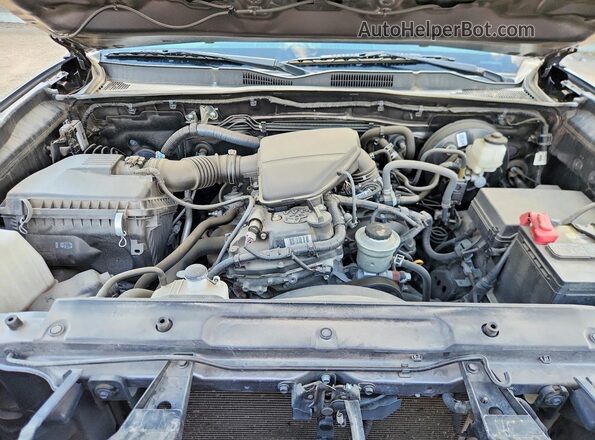 3TYAX5GN6MT017830 2021 TOYOTA TACOMA Серый Вид задней части салона