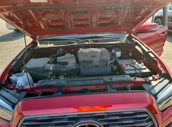 3TYCZ5AN2PT167143 2023 TOYOTA TACOMA Red Rear interior view