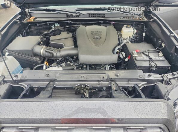 3TYCZ5AN4PT143149 2023 TOYOTA TACOMA Gray Вид задньої частини салону