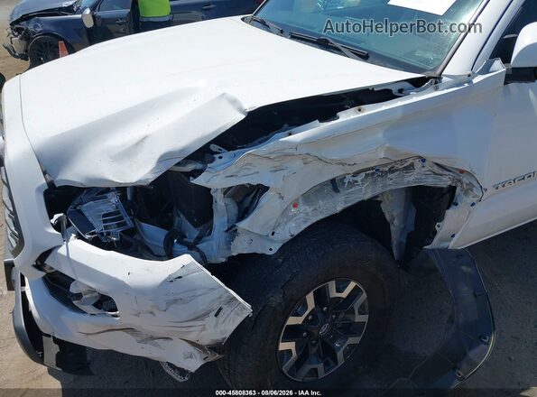3TYCZ5AN4PT146861 2023 TOYOTA TACOMA Белый Вид задней части салона