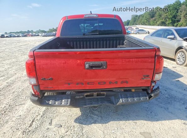 3TYCZ5AN5LT005260 2020 TOYOTA TACOMA Красный Вид сзади