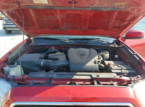 3TYCZ5AN5LT005260 2020 TOYOTA TACOMA Красный Вид задней части салона