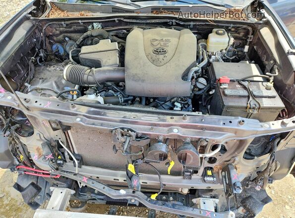 3TYCZ5AN6MT024305 2021 TOYOTA TACOMA Gray Սալոնի հետևի տեսք