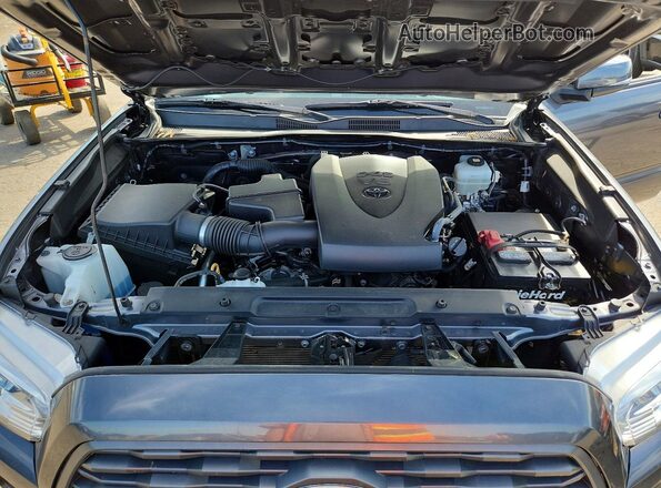 3TYCZ5AN6MT034803 2021 TOYOTA TACOMA Gray Vista interior trasera