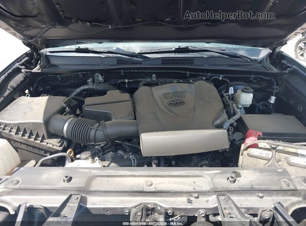3TYCZ5AN7MT024765 2021 TOYOTA TACOMA Gray Widok z tyłu
