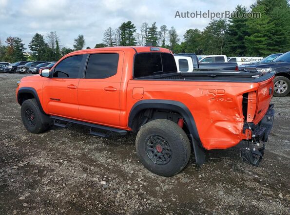 3TYCZ5AN7PT129388 2023 TOYOTA TACOMA Orange Tył lewy