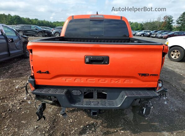 3TYCZ5AN7PT129388 2023 TOYOTA TACOMA Orange Widok z tyłu