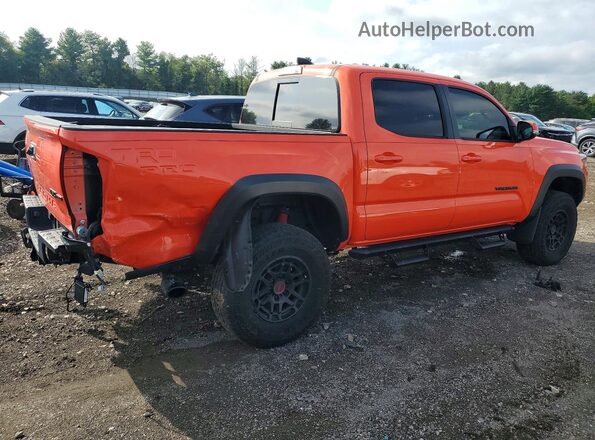 3TYCZ5AN7PT129388 2023 TOYOTA TACOMA Orange Tył prawy