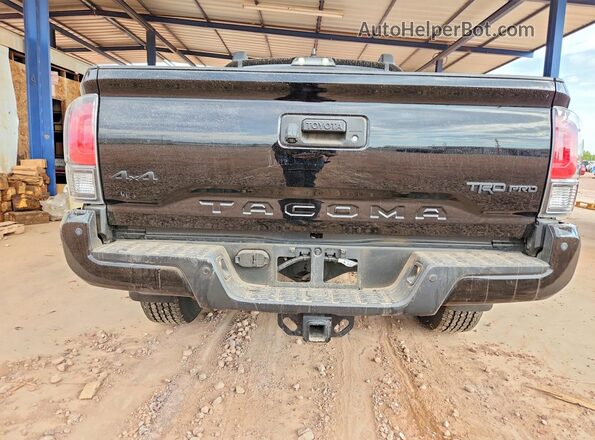 3TYCZ5AN7PT168661 2023 TOYOTA TACOMA Черный Вид сзади