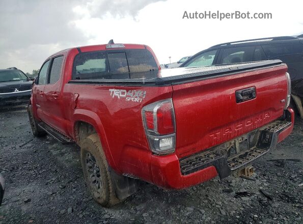 3TYDZ5BN2PT022168 2023 TOYOTA TACOMA Бордовый Задняя левая четверть