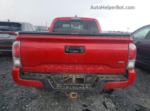 3TYDZ5BN2PT022168 2023 TOYOTA TACOMA Бордовый Вид сзади