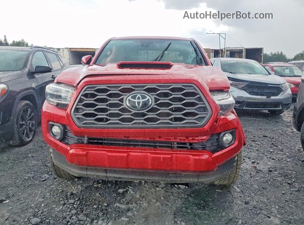 3TYDZ5BN2PT022168 2023 TOYOTA TACOMA Бордовый Вид спереди