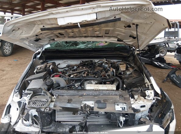 3TYJDAHN5RT013727 2024 TOYOTA TACOMA White უკანა ხედი